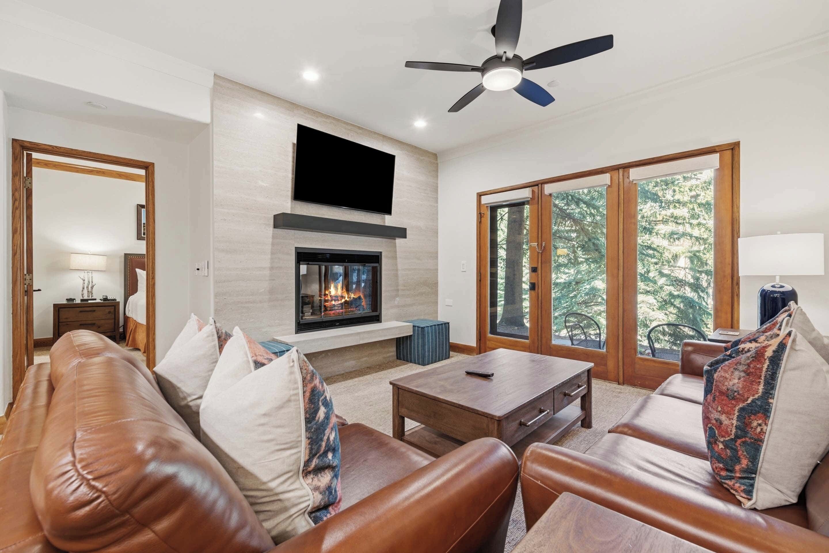 TV, fireplace