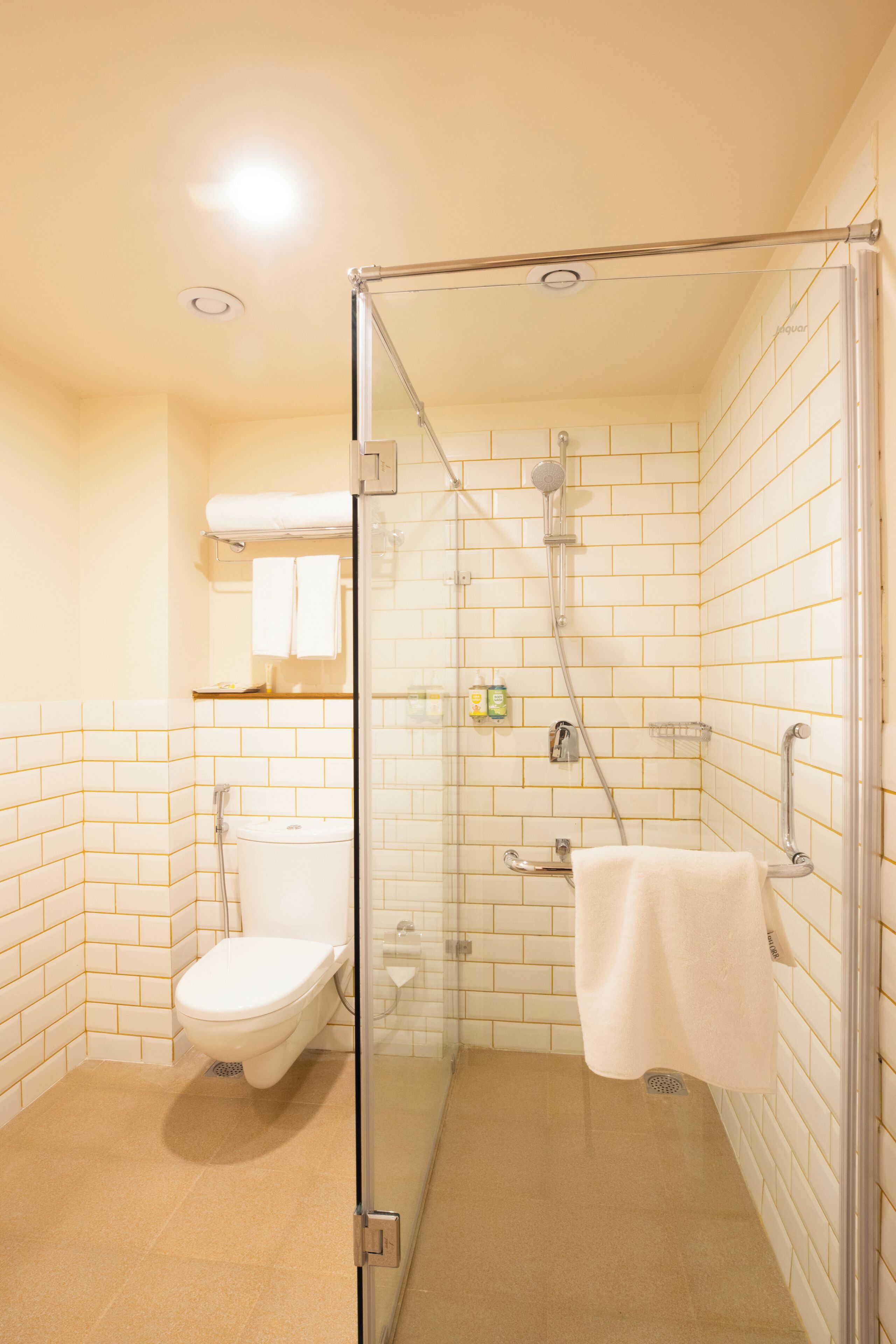 A modern bathroom with a glass-enclosed shower, a white toilet, and a towel rack.