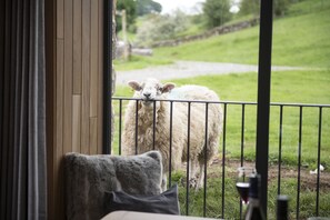 Interior - Canny Grouse Barn, Kirkby Stephen, Yorkshire Dales (Kirkby Stephen)