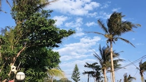 Entorno tropical con palmeras, cielo despejado y una farola.