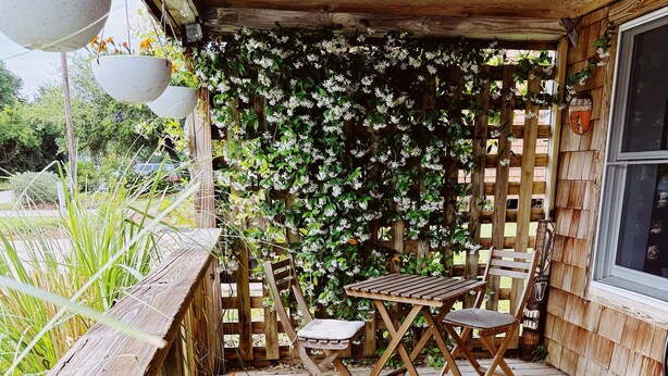Une terrasse en bois avec une table et des chaises, entourée d’une clôture en bois et d’un mur recouvert de fleurs blanches.