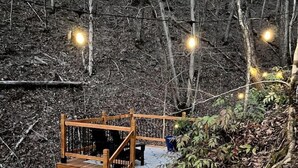 Un escalier en bois mène à une plateforme entourée d’une rambarde, elle-même bordée d’une zone boisée.