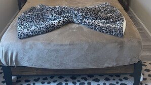 A bedroom with a bed, two bedside lamps, a leopard print blanket, and a butterfly artwork on the wall. - Cozy and close to downtown Port Clinton, Jet Express to Put-In-Bay and fishing! (Port Clinton)