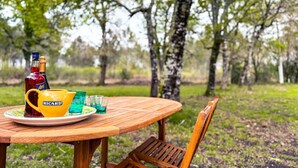 A wooden table with a bottle, a yellow mug, and glasses on a plate, set outdoors with trees in the background.