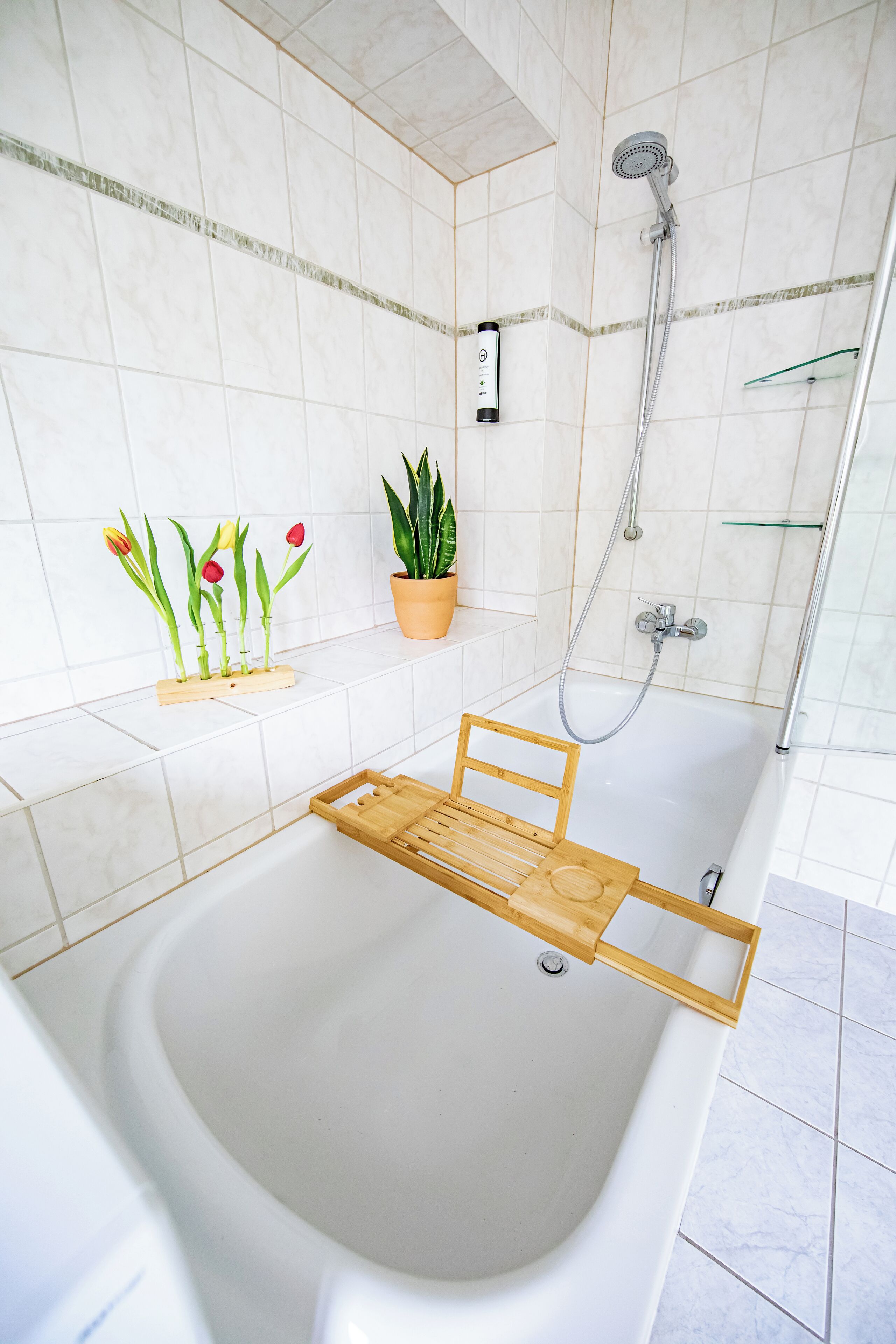 Hiustenkuivaaja, pyyhkeet, saippua, sampoo