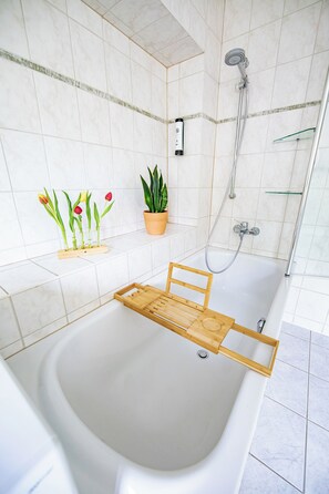 Hiustenkuivaaja, pyyhkeet, saippua, sampoo