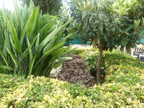 Villa Aurora - Apartment in villa with pool