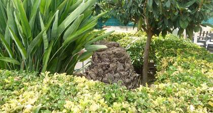 Villa Aurora - Apartment in villa with pool