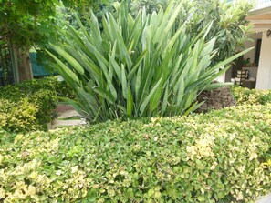 Property grounds - Villa Aurora - Apartment in villa with pool (Bagheria)