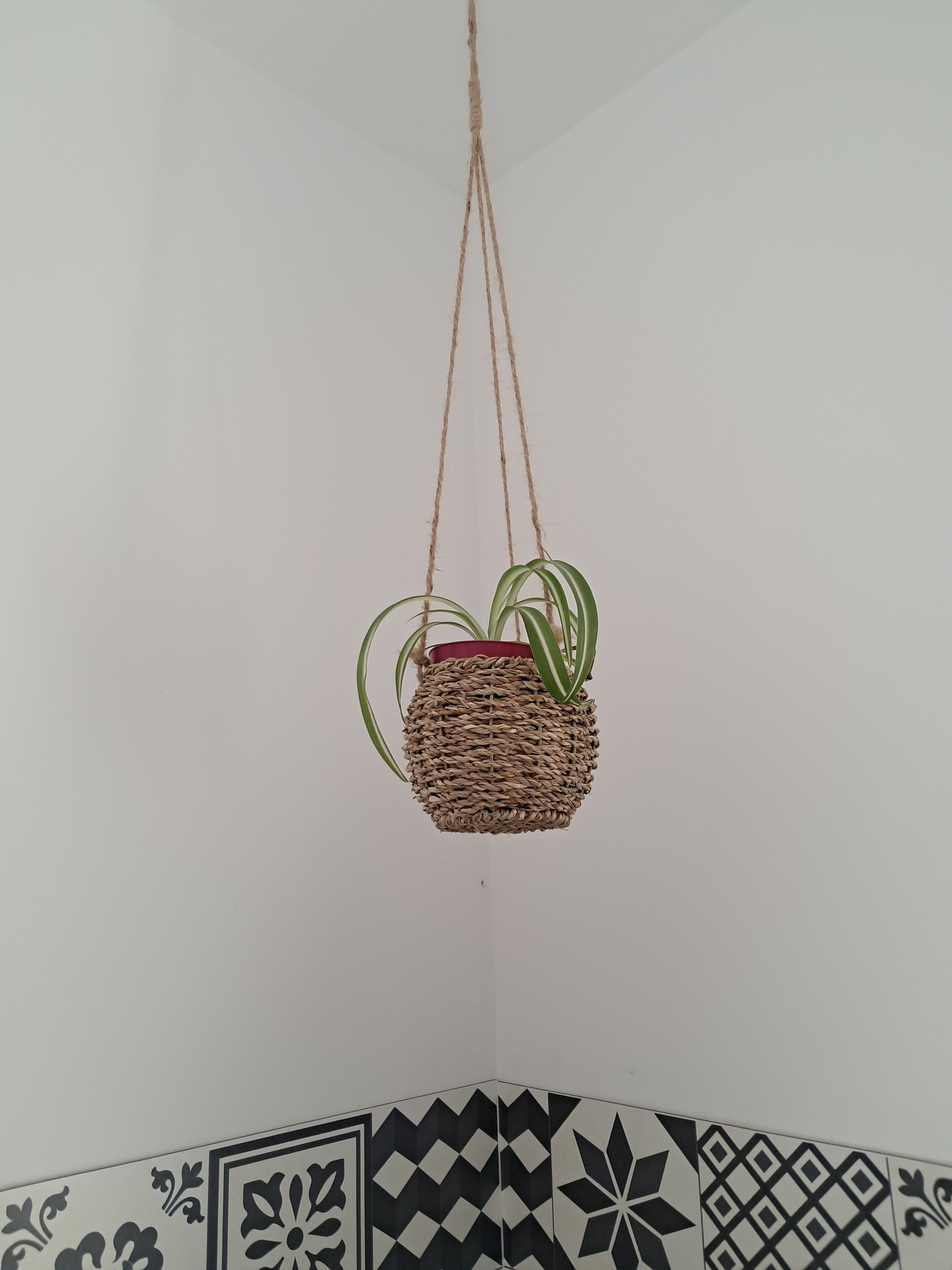 Een gevlochten mand hangt aan het plafond, met daarin een potplant.
