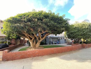 Property grounds - Perfect location, perfect vacation! Your beach paradise awaits! (Hermosa Beach)