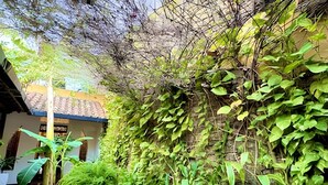 Un patio con un muro de piedra cubierto de hiedra verde, un pequeño edificio blanco con techo de tejas y plantas en macetas.