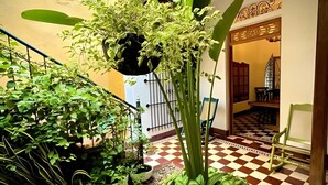 Una escalera con plantas en macetas, un suelo a cuadros y una habitación con una silla y una mesa.