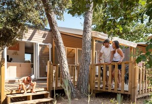 Luokittelematon kuva, 4 kautta 17, painike