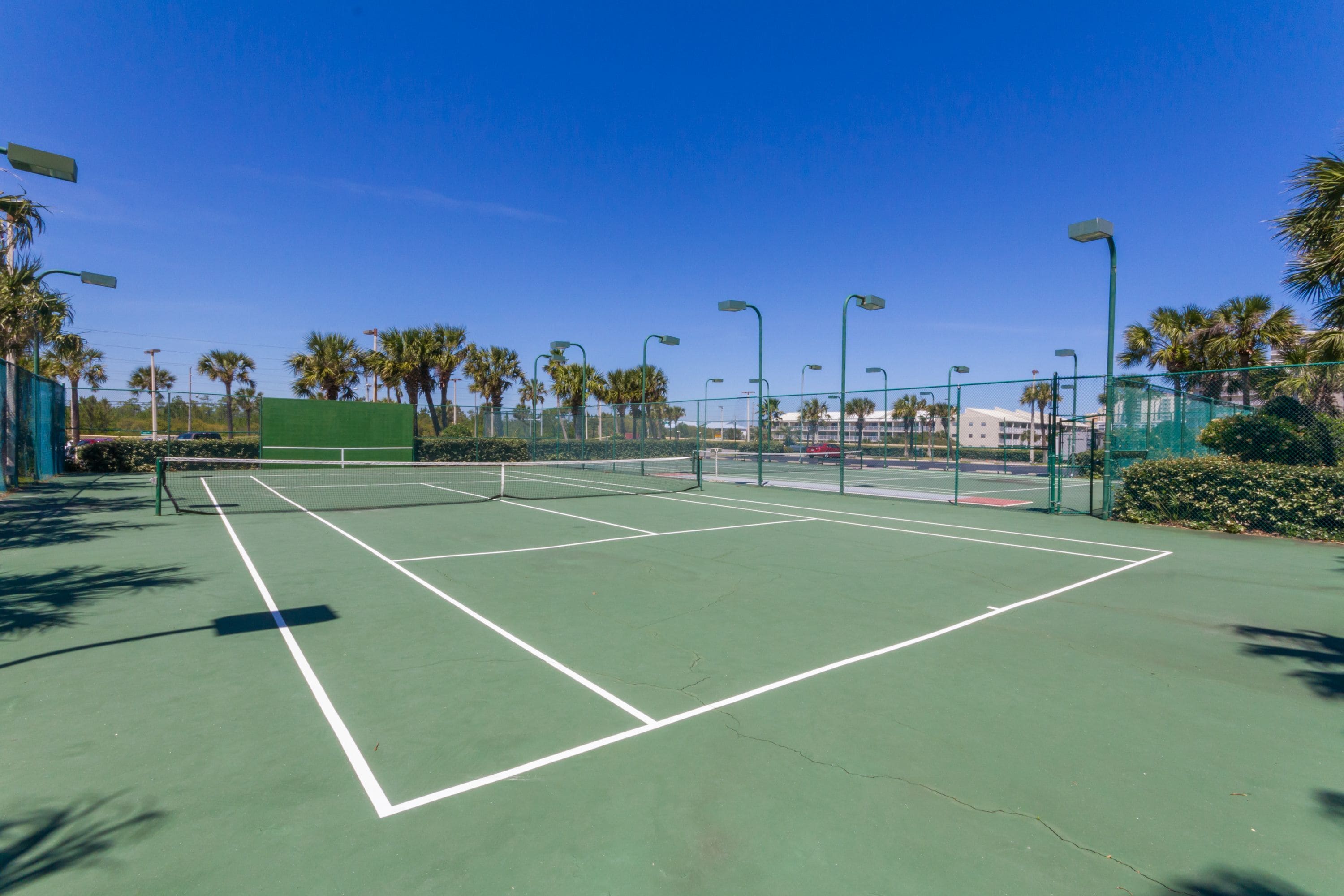 Un court de tennis doté d’une surface verte, entouré de palmiers et éclairé par des lampadaires.