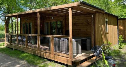 Chalet 4 étoiles - Piscine - efaehc