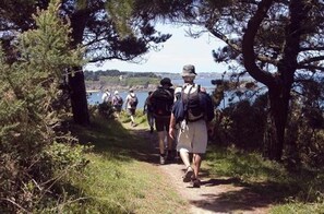 Unclassified image, 5 of 24, button - Camping 3 étoiles - Piscine - efagdh (Saint-Hilaire-de-Riez)