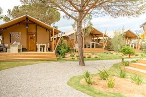 Property grounds - ZEcamping 4* animé piscine animaux acceptés locatif TV BBQ clim 50m2 (Malgrat de Mar)