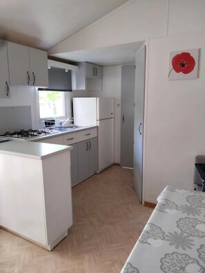 Fridge, microwave, stovetop