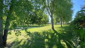 Ein Park mit Bäumen und Rasen.