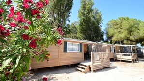 A wooden mobile home with a small porch and a window, surrounded by trees and other mobile homes. - ZEcamping 3* 200m plage chiens acceptés locatif TV 36m2 6 pers (Hyères)