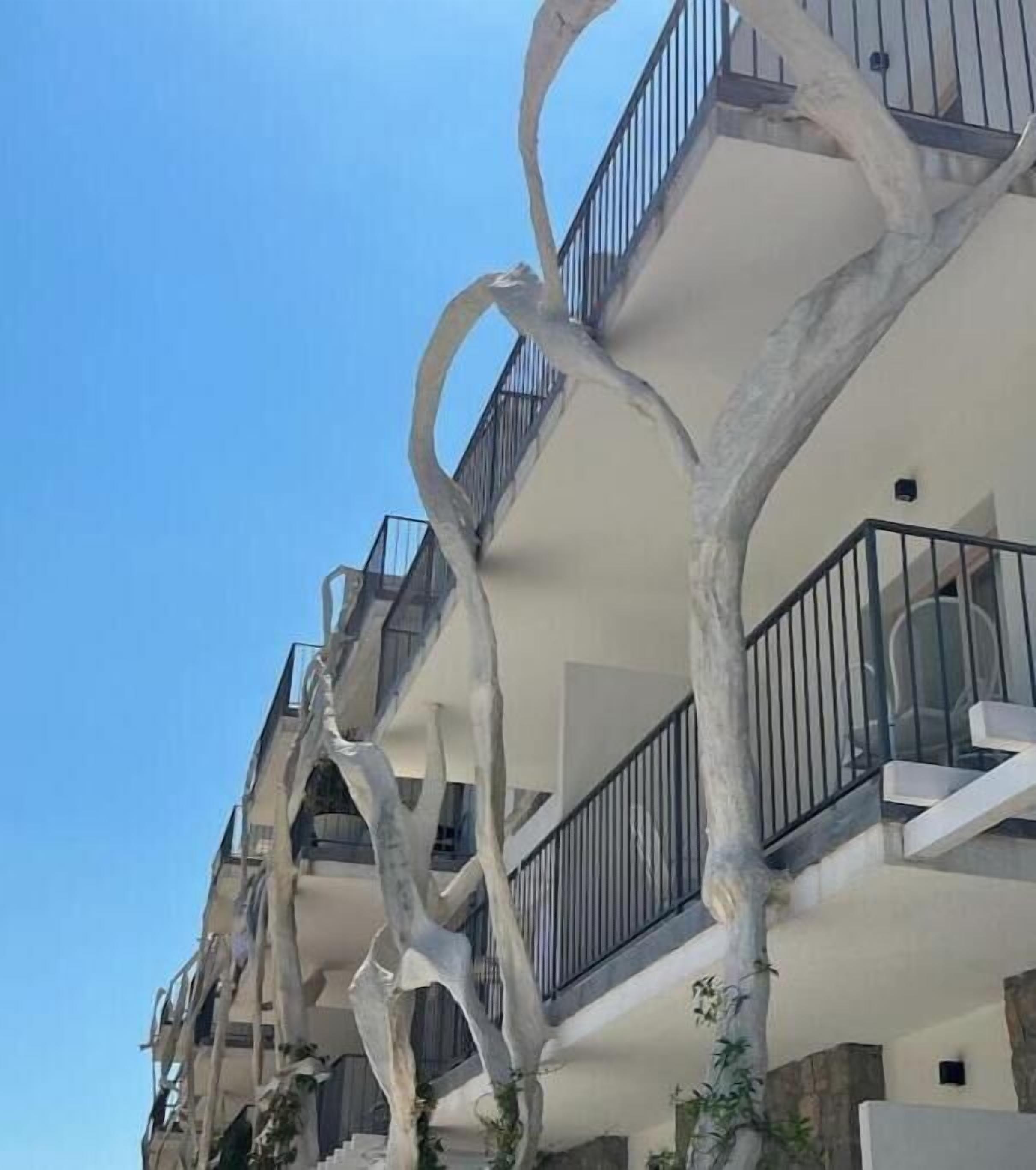 Detalle del exterior