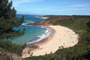 A beach with a sandy shore, surrounded by greenery and a view of the ocean.