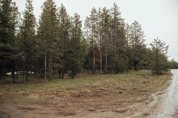Property grounds - Spacious Cozy Cabin, WIFI, 30 min to YNP (Island Park)