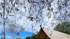 Une cabane en bois dotée d’une terrasse, entourée de verdure et d’une petite pelouse.