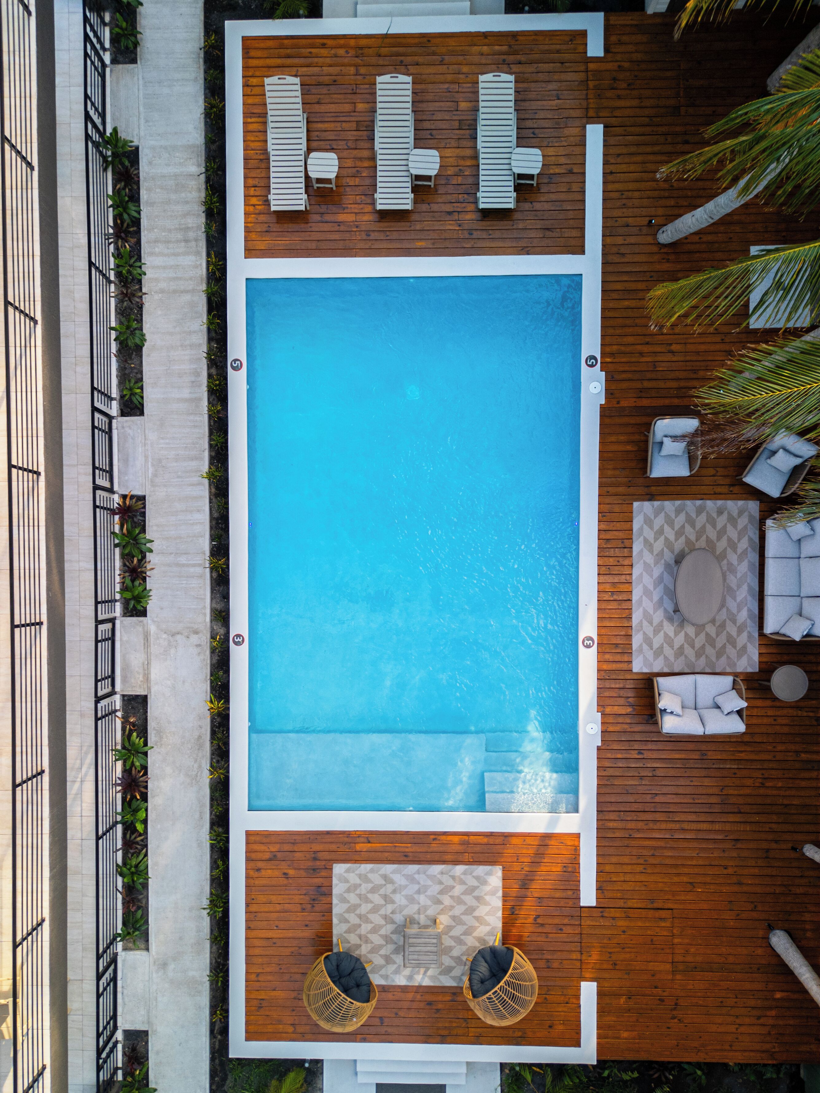 Outdoor pool, sun loungers