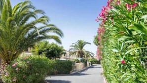 Una calle bordeada de palmeras y plantas con flores, que conduce a un edificio con un cielo azul despejado al fondo.