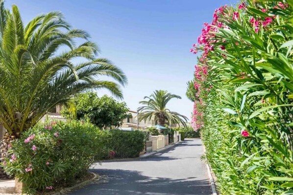 Terrain de l’hébergement 