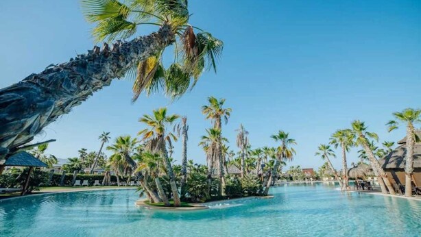 A pool surrounded by palm trees and a rocky structure. - ZEcamping 5* familial espace aquatique locatif TV LV clim 32m2 5 pers (Sant Felip Neri)