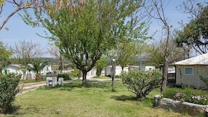 A residential area with houses, a large tree, and a stone wall. - ZEcamping 3 étoiles pataugeoire piscine mobil-home TV clim 25m2 4 pers (Montagnac)