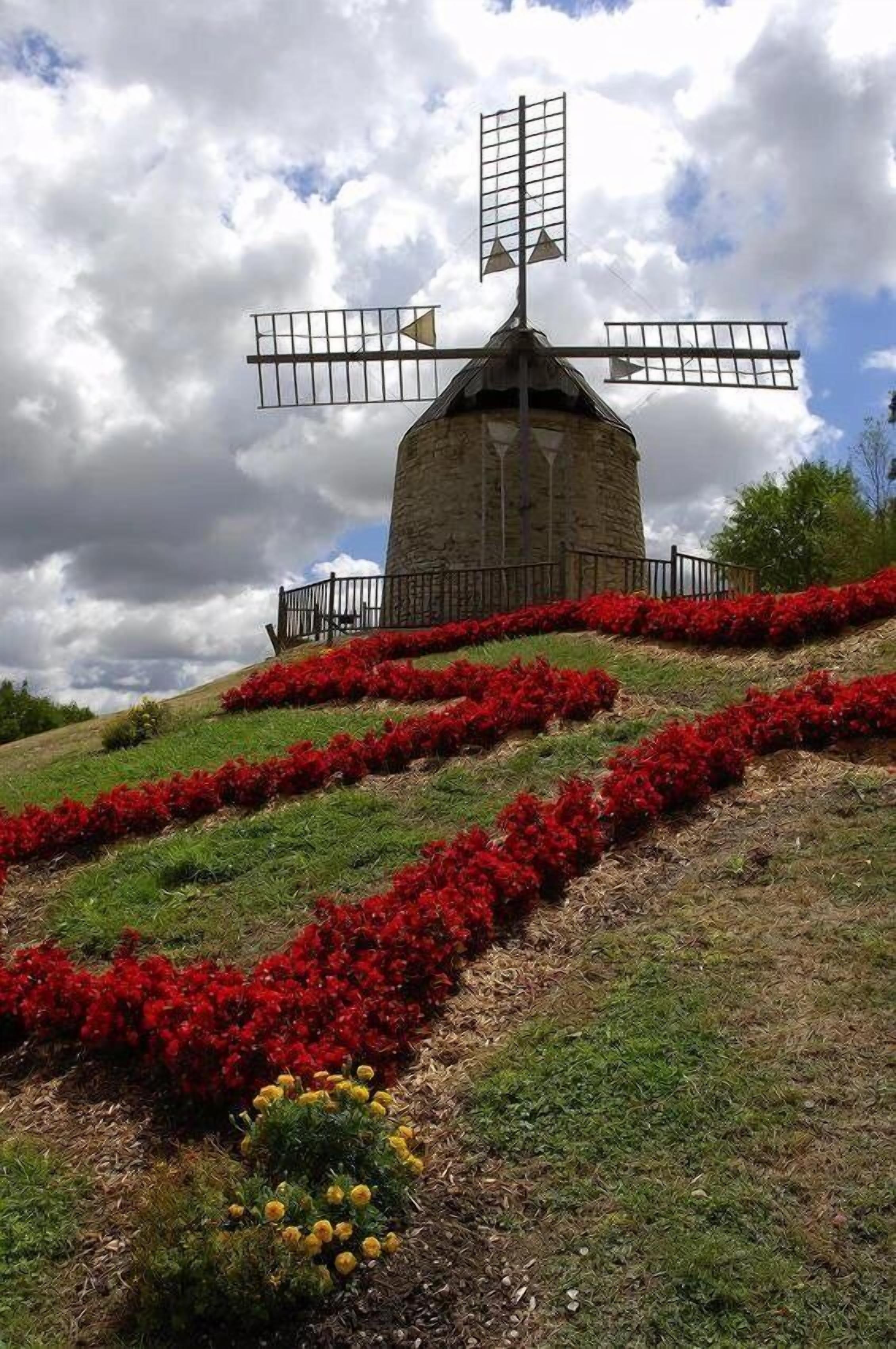 A windmill with a stone base, surrounded by red flowering plants and a grassy hill.