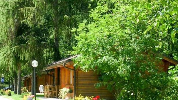 Una cabaña de madera con un porche, rodeada de exuberante follaje y árboles.