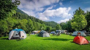 A campsite with multiple tents set up on a grassy field surrounded by trees and a mountain in the background.