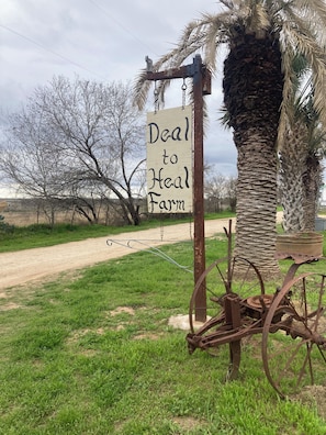 Terrein van de accommodatie