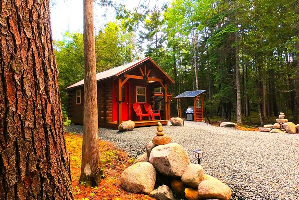 Exterior - You will love this brand new private and cozy cabin in a great location! (Gouldsboro)