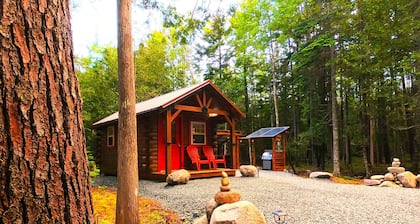 You will love this brand new private and cozy cabin in a great location!