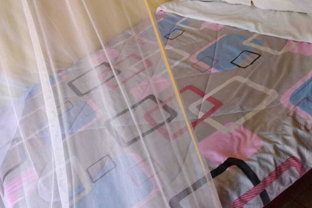 Un lit avec une couvre-lit à motifs et un baldaquin transparent.