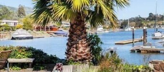 Waterfront Hawaiian oasis