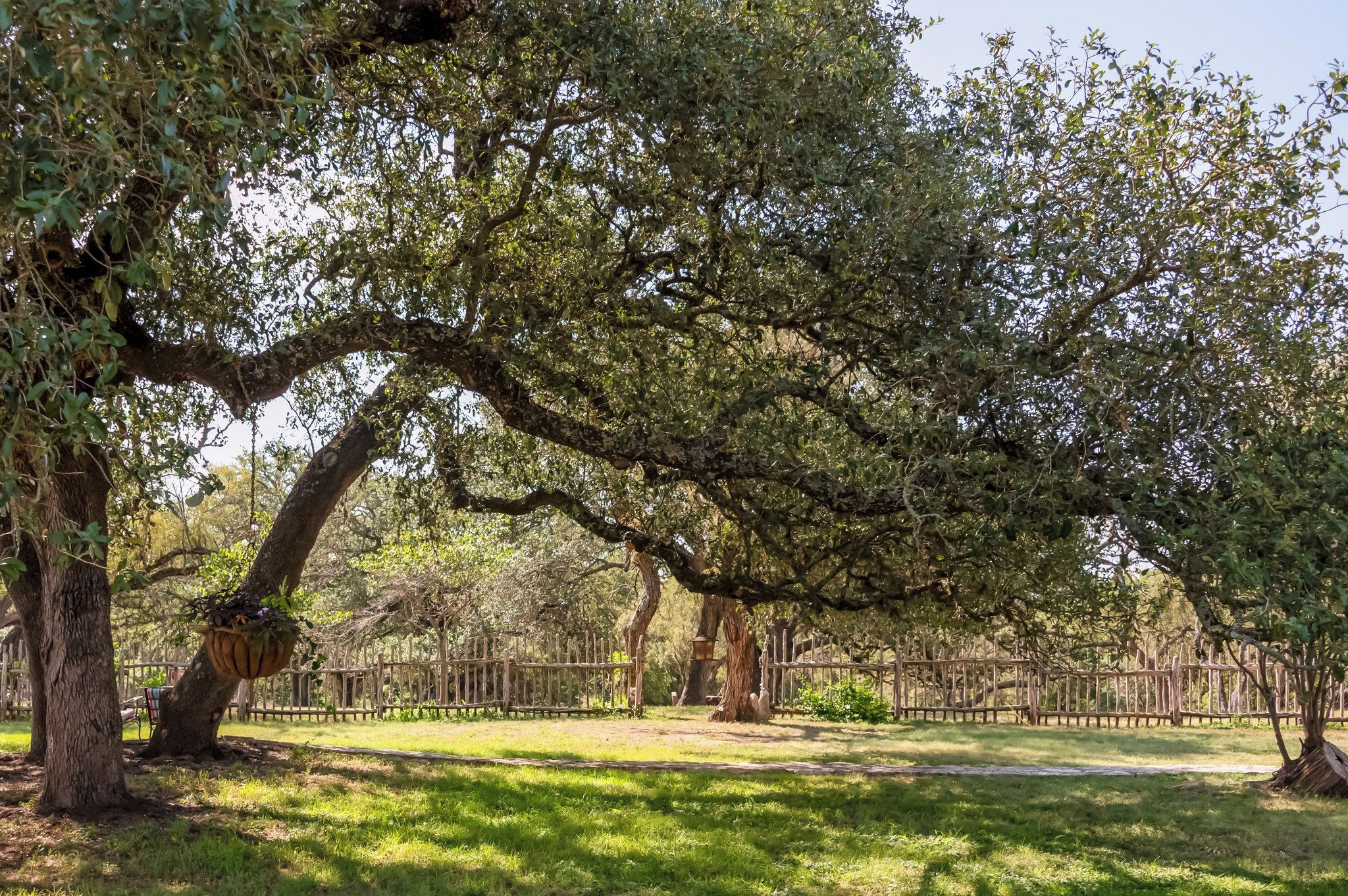 A park with mature trees, a wooden fence, and a grassy area.