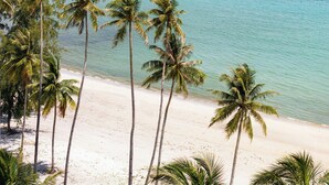 Une plage bordée de palmiers, avec une petite île en arrière-plan.