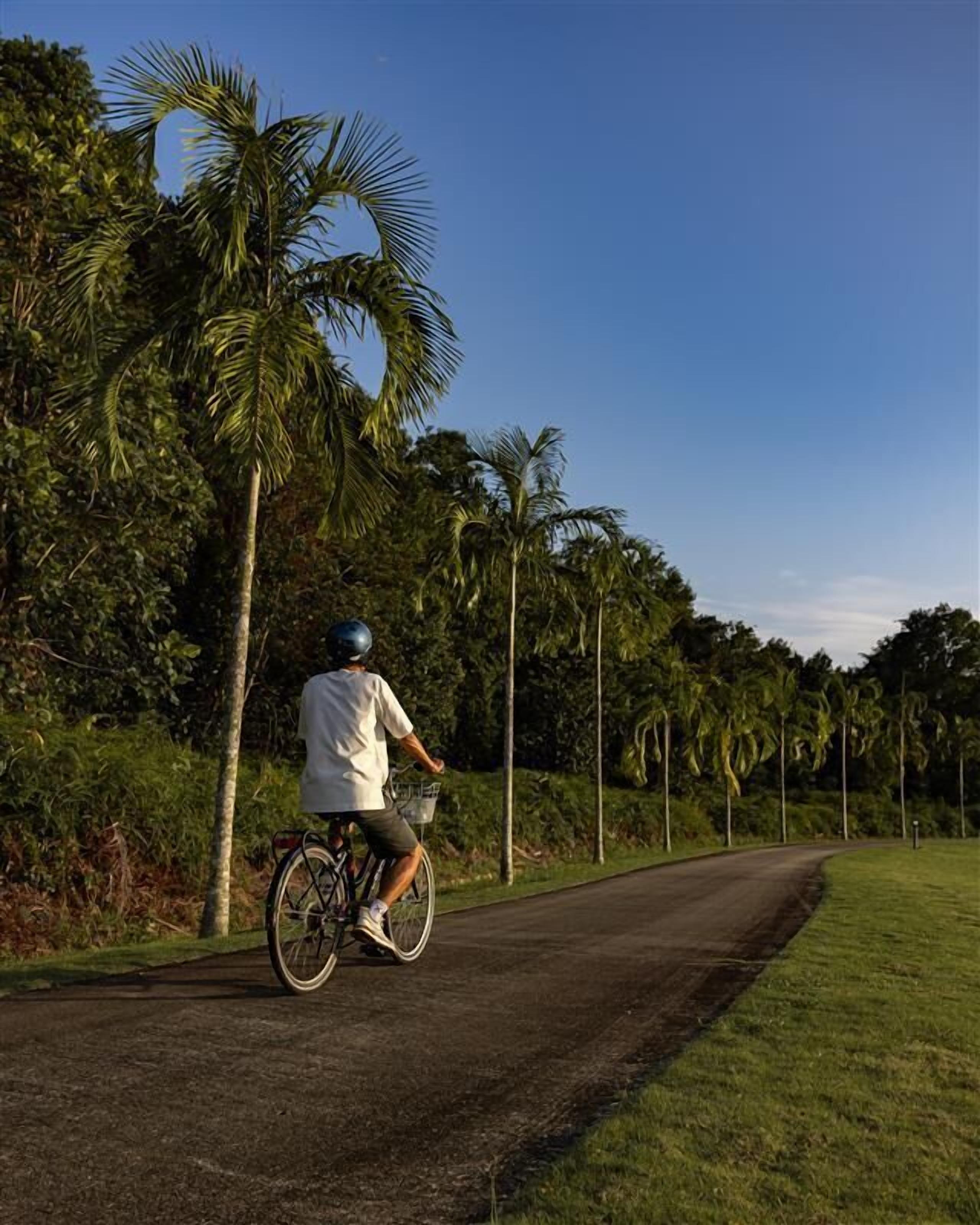 Eine Person fährt Fahrrad auf einem befestigten Weg, umgeben von üppiger Vegetation und Palmen.