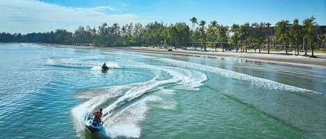A jet ski on a calm body of water with a beach and palm trees in the background.