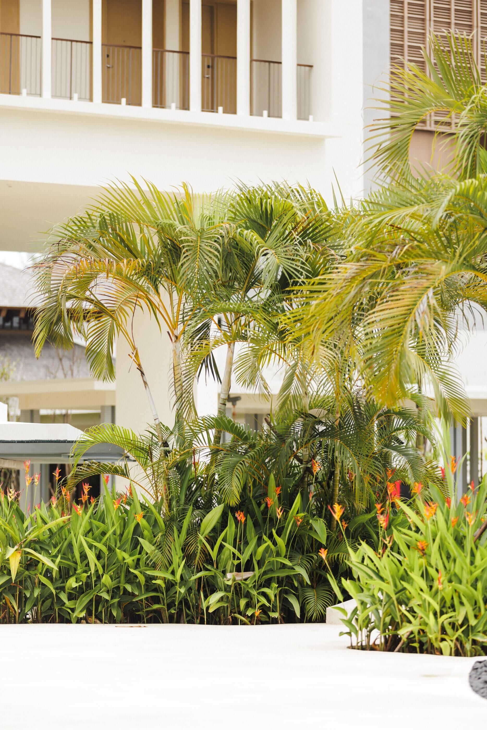 A building with balconies and a lush garden with various plants and flowers.