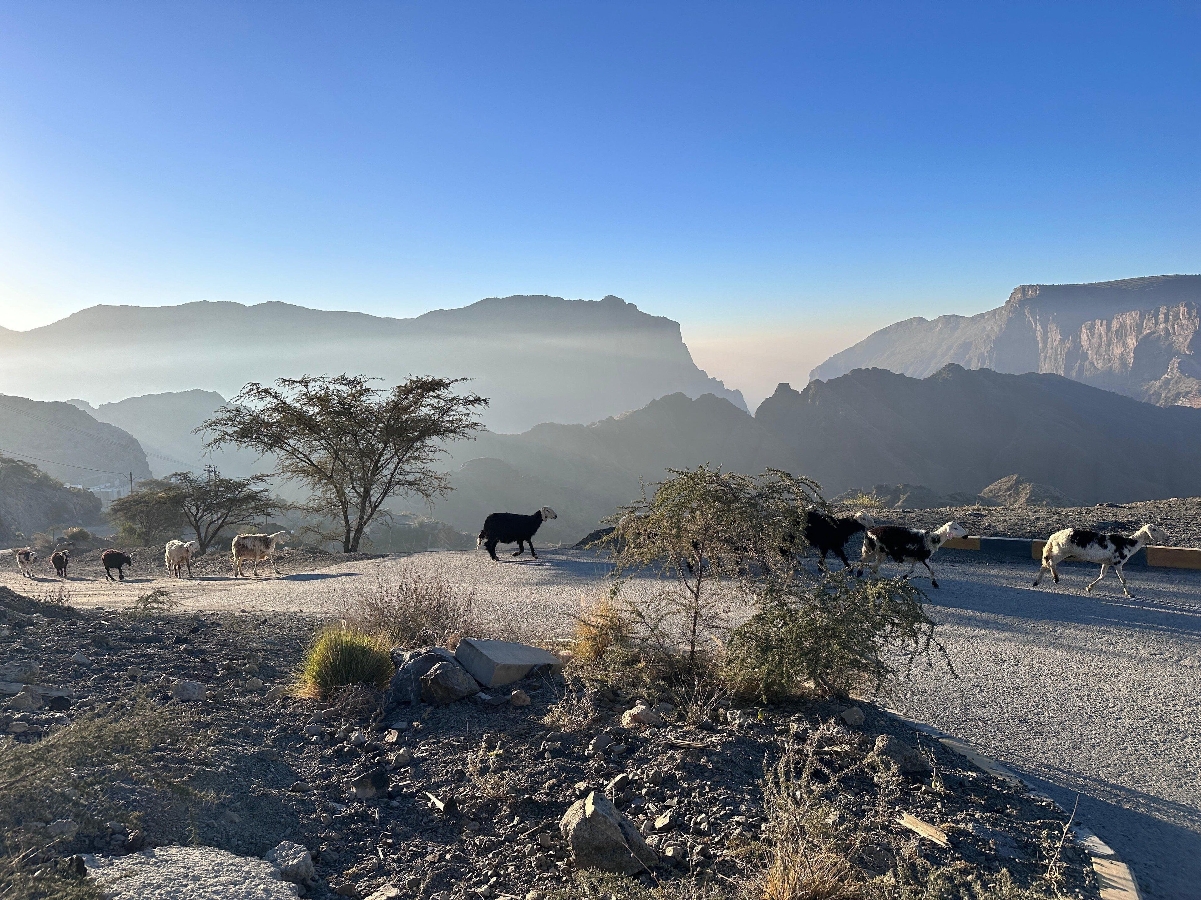 A mountainous landscape with a clear sky.