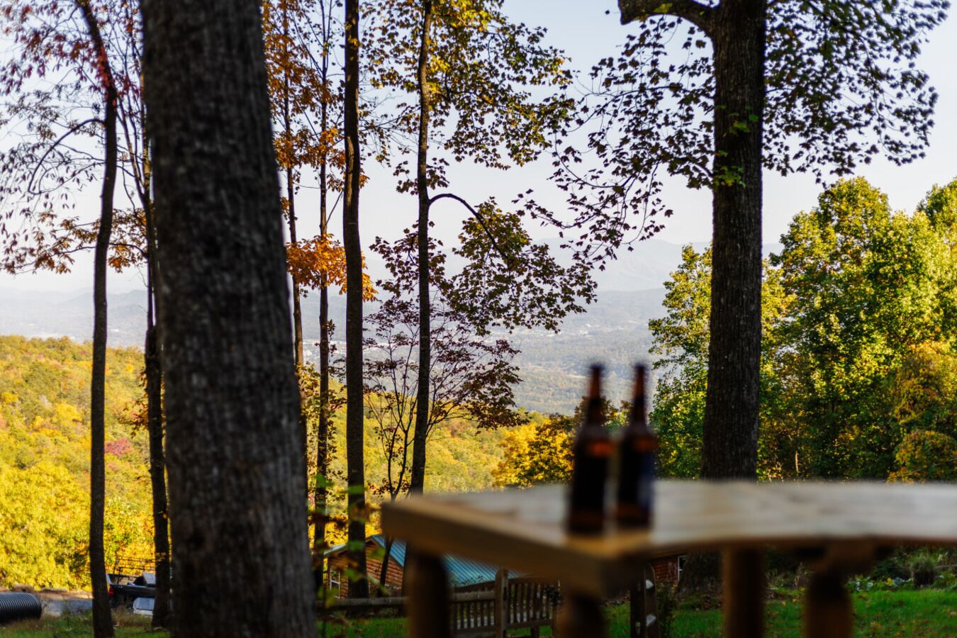 Un tavolo da picnic con bottiglie, circondato da alberi e una vista su un paesaggio lontano.