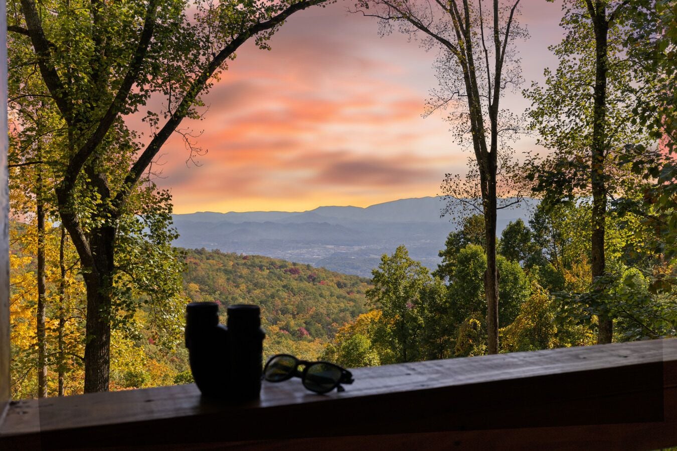 A view from a window overlooking a forested landscape with mountains in the distance.